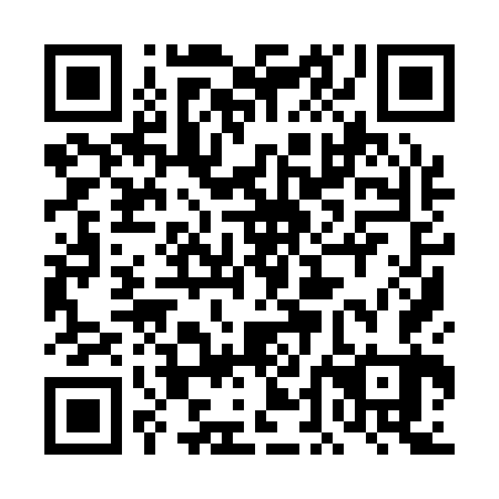 QR code for plate 4DI 163