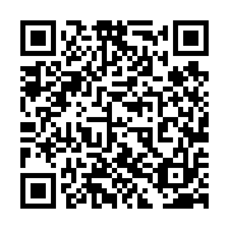 QR code for plate 4DL 613