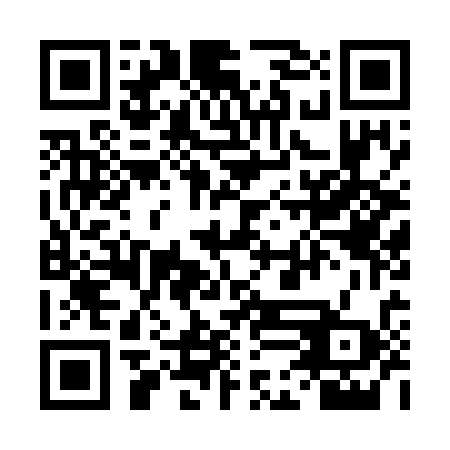 QR code for 4DM 738