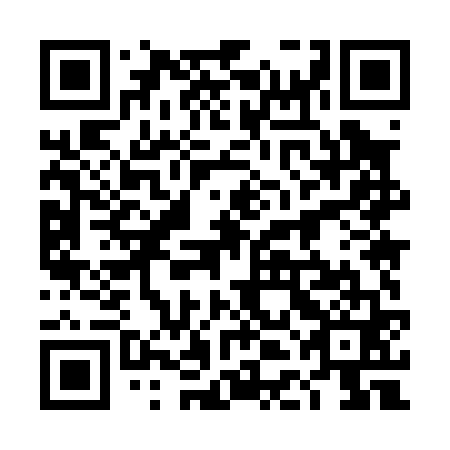 QR code for plate 4DM 061