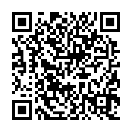 QR code for 4DS 314