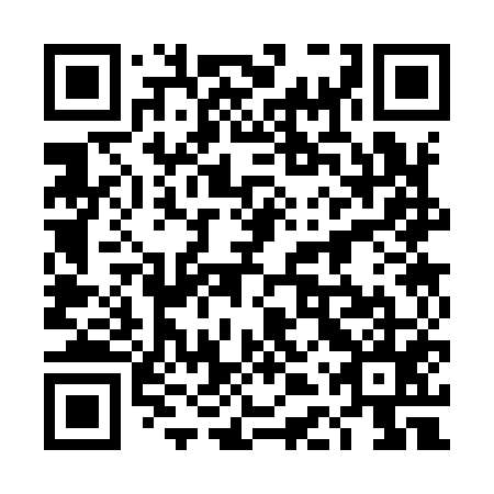 QR code for 4DS 955