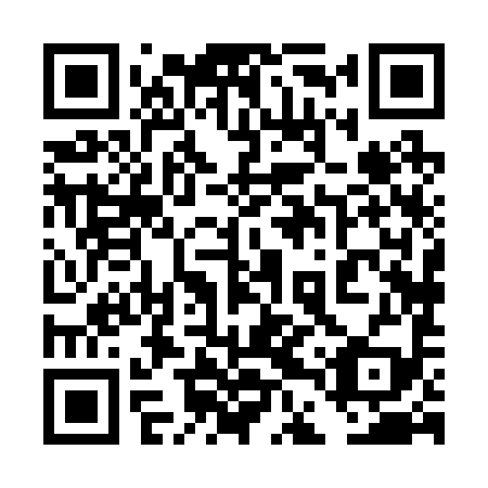 QR code for 4DX 299