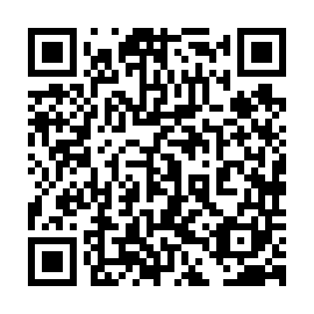 QR code for 4DX641