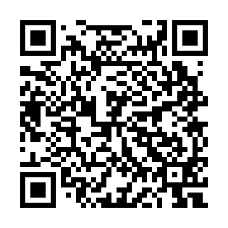 QR code for plate 4G 3391