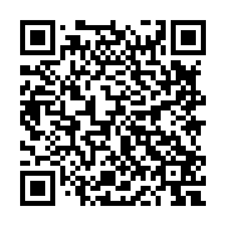 QR code for plate 4G 9803