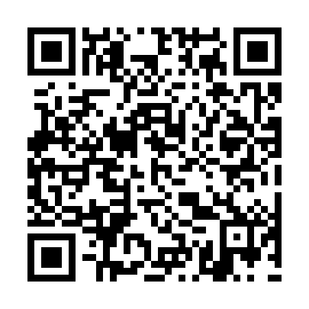 QR code for plate 4GP 382
