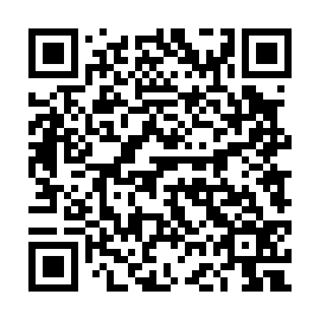 QR code for plate 4GT 036