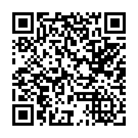 QR code for plate 4HG 656