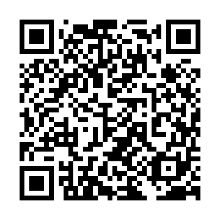 QR code for plate 4I 9851