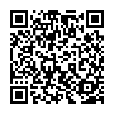 QR code for 4II309