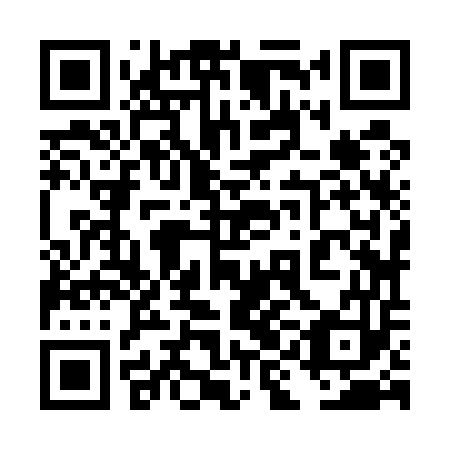 QR code for plate 4IJ 553