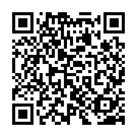 QR code for 4IN328