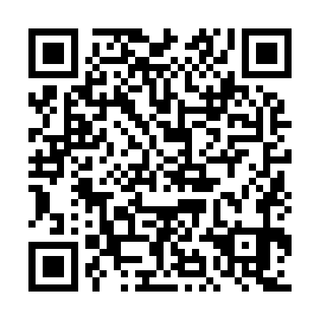 QR code for 4IN971