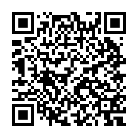 QR code for 4IQ 250