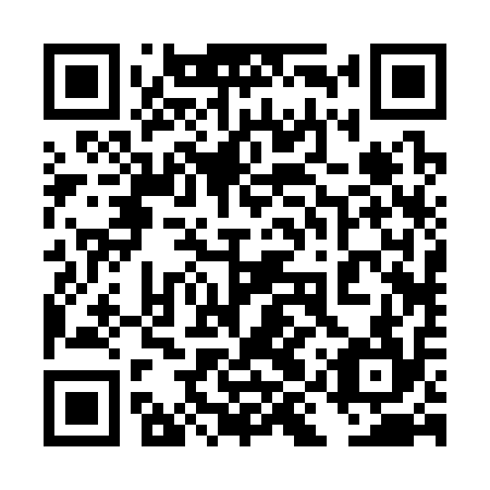 QR code for 4IR 314