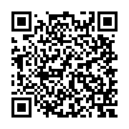 QR code for plate 4IU 595