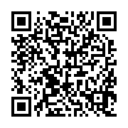QR code for 4IV 294