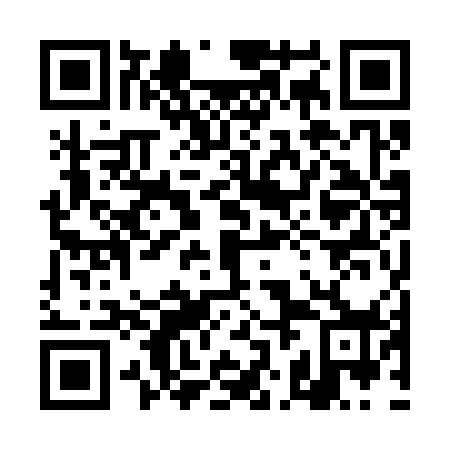 QR code for plate 4JO 378