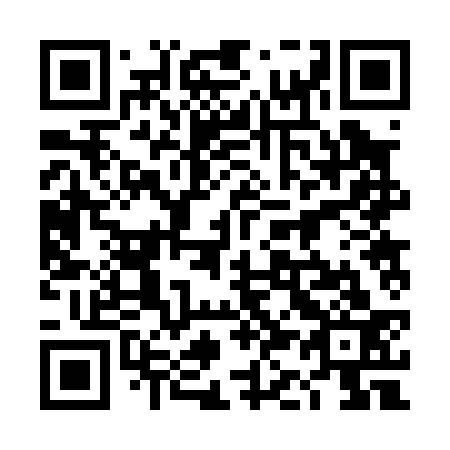 QR code for 4K 2033