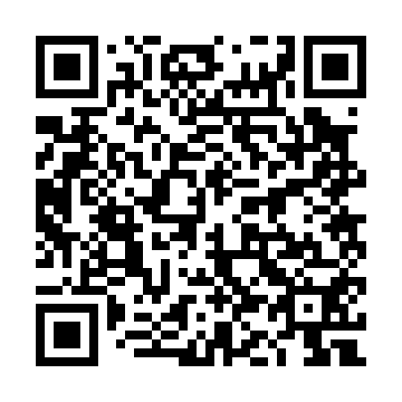 QR code for 4K 2050