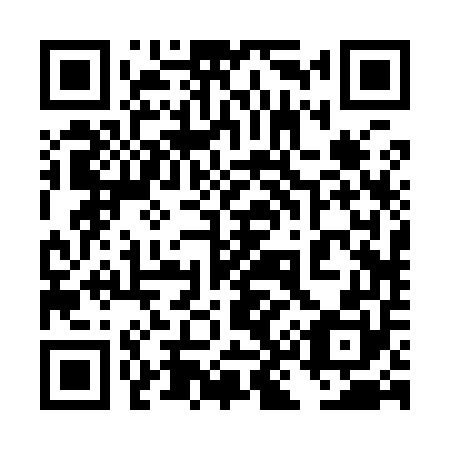 QR code for 4K 2950