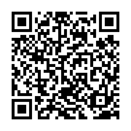 QR code for plate 4L 6633