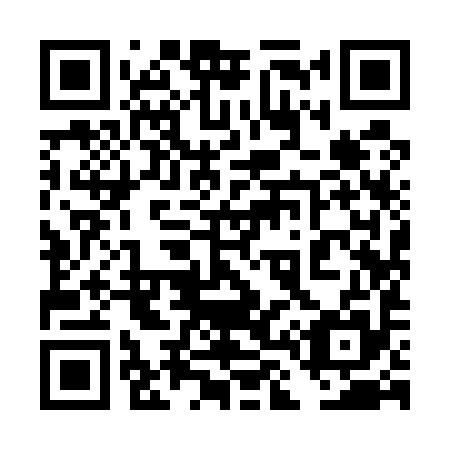 QR code for plate 4L 9595