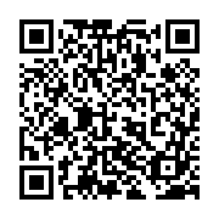 QR code for plate 4LG 063