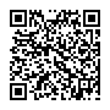 QR code for plate 4LG 125