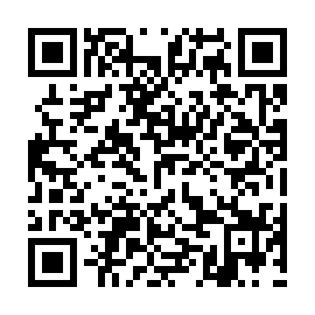 QR code for plate 4MJ 339