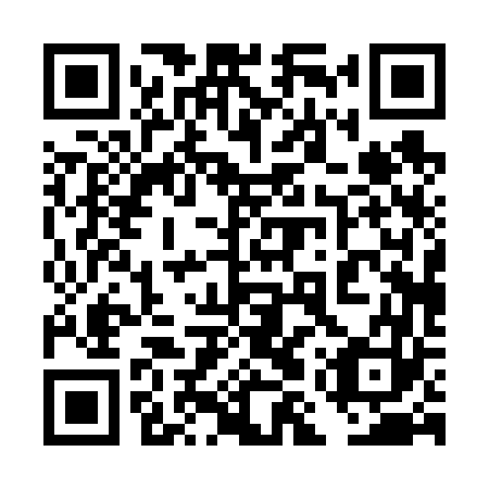 QR code for 4MP663