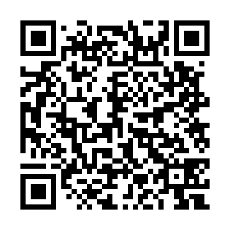 QR code for plate 4MR 538