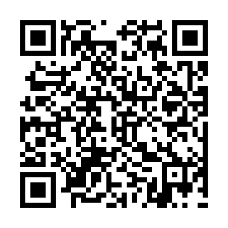 QR code for plate 4MS 380