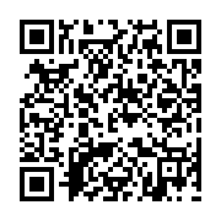 QR code for 4N 0377