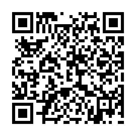 QR code for 4N 4252
