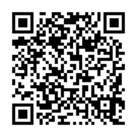 QR code for 4N 9995