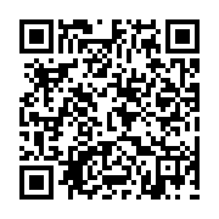 QR code for plate 4N 0387