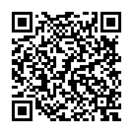 QR code for plate 4N 3801