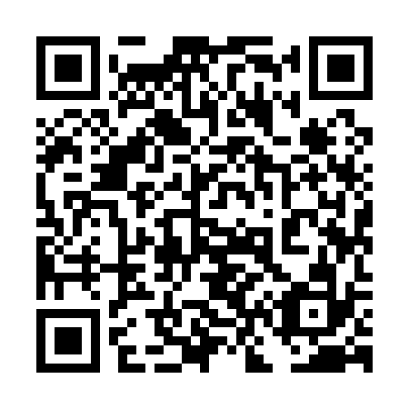 QR code for plate 4N 9132