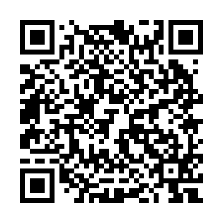 QR code for 4NA 295