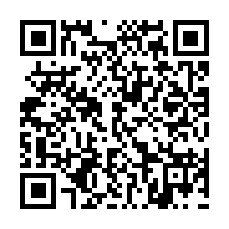 QR code for 4NI 393