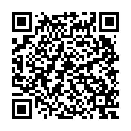 QR code for plate 4NP 617