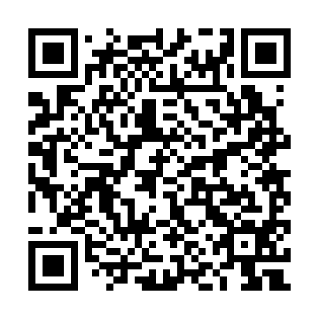 QR code for plate 4NR 394