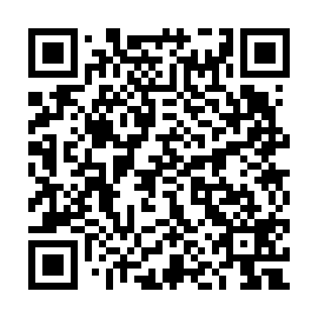 QR code for 4NS 619