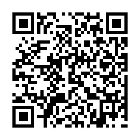 QR code for 4NS333