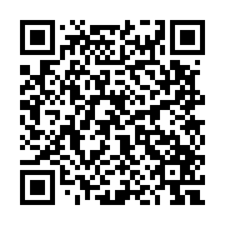 QR code for plate 4NS 547