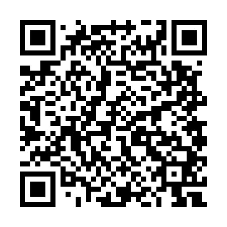 QR code for 4NV 540