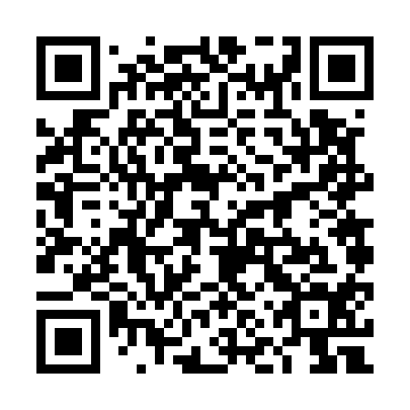QR code for plate 4NV 514