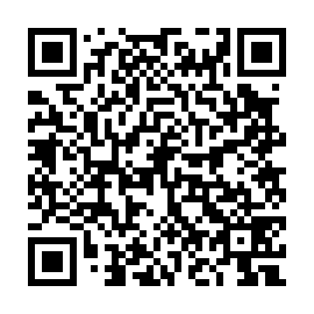 QR code for 4O 2079